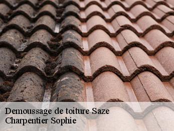Demoussage de toiture 30650