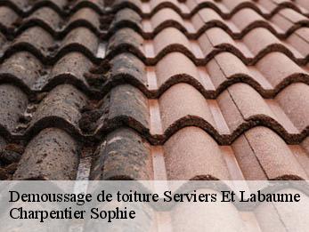 Demoussage de toiture 30700
