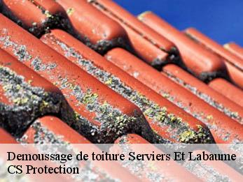 Demoussage de toiture