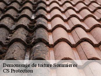 Demoussage de toiture  30250