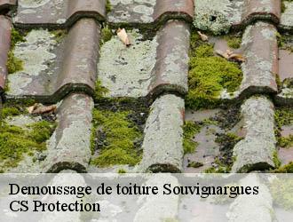 Demoussage de toiture souvignargues-30250 CS Protection