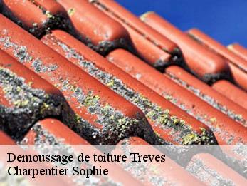 Demoussage de toiture