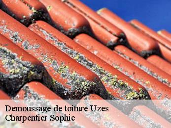 Demoussage de toiture