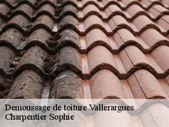 Demoussage de toiture 30580