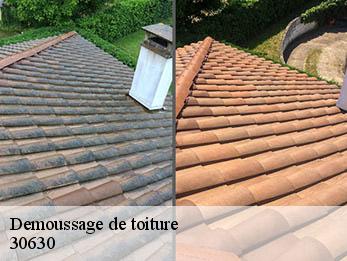 Demoussage de toiture