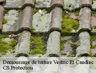 Demoussage de toiture vestric-et-candiac-30600 CS Protection