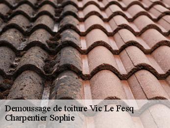 Demoussage de toiture 30260