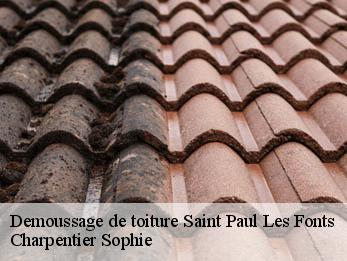 Demoussage de toiture 30330