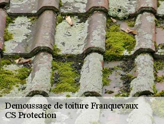 Demoussage de toiture  franquevaux-30640 CS Protection