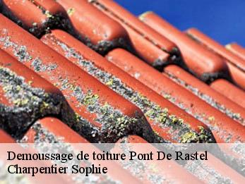 Demoussage de toiture