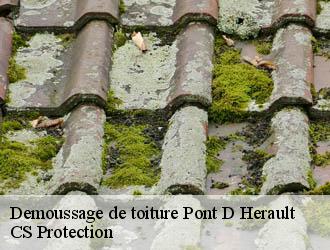 Demoussage de toiture  pont-d-herault-30570 CS Protection