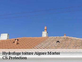 Hydrofuge toiture 30220