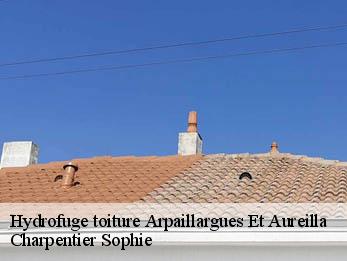 Hydrofuge toiture  30700