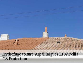 Hydrofuge toiture 30700