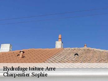 Hydrofuge toiture  30120