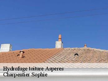 Hydrofuge toiture 30250