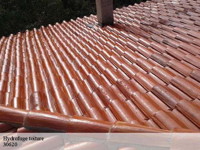 Hydrofuge toiture 30620