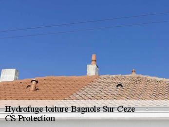 Hydrofuge toiture 30200