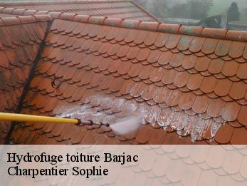 Hydrofuge toiture