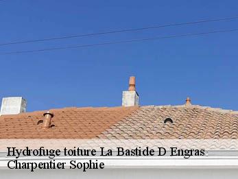 Hydrofuge toiture  30330