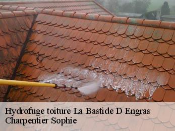 Hydrofuge toiture