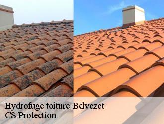 Hydrofuge toiture belvezet-30580 CS Protection