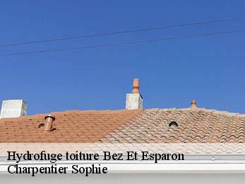 Hydrofuge toiture  30120