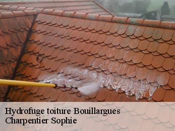 Hydrofuge toiture