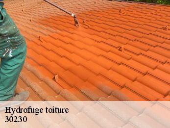 Hydrofuge toiture  30230