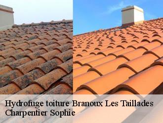 Hydrofuge toiture  branoux-les-taillades-30110 Charpentier Sophie