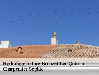 Hydrofuge toiture  30260