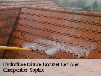 Hydrofuge toiture