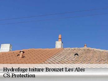 Hydrofuge toiture  30580