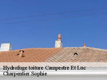 Hydrofuge toiture  30770