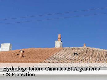 Hydrofuge toiture 30350