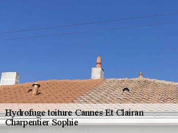 Hydrofuge toiture  30260