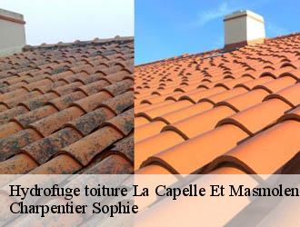 Hydrofuge toiture  la-capelle-et-masmolene-30700 Charpentier Sophie