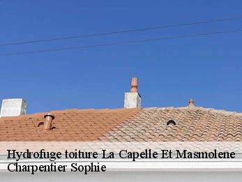 Hydrofuge toiture  30700