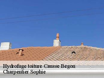 Hydrofuge toiture  30750