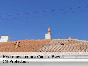 Hydrofuge toiture 30750