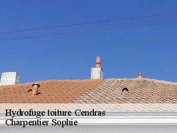 Hydrofuge toiture  30480