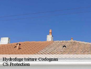 Hydrofuge toiture 30920