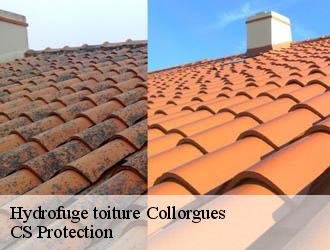 Hydrofuge toiture collorgues-30190 CS Protection