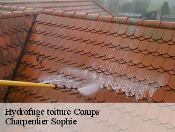 Hydrofuge toiture