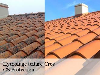 Hydrofuge toiture cros-30170 CS Protection