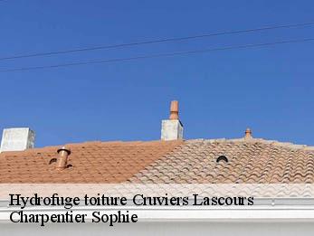 Hydrofuge toiture  30360