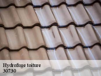 Hydrofuge toiture