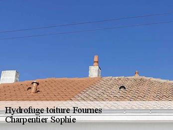 Hydrofuge toiture 30210