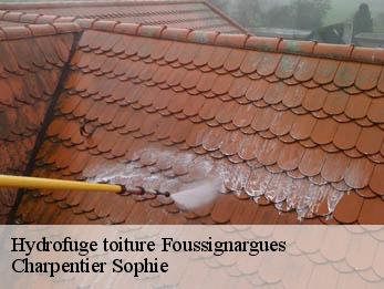 Hydrofuge toiture