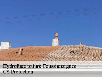 Hydrofuge toiture 30160